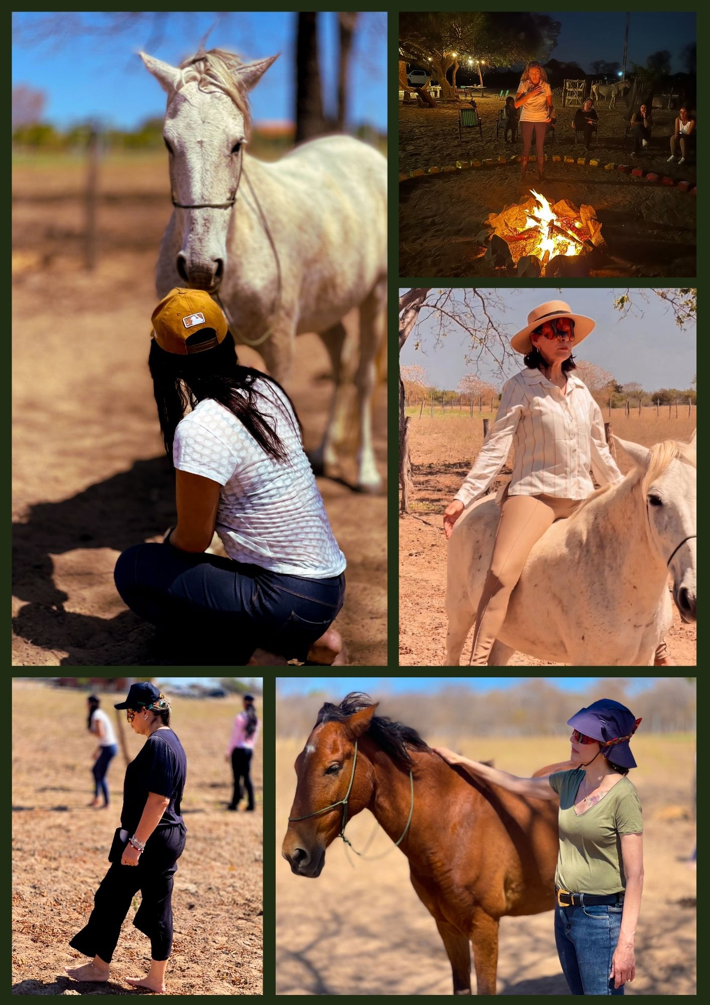 Terapia com Cavalos, equoterapia, conexão com cavalos